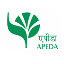 Apeda